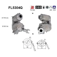 As FL5304Q Roetfilter (DPF)