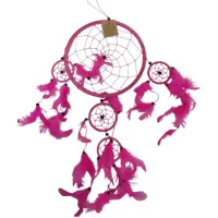 Ruben Robijn Dromenvanger - 22 cm - Roze - alleen veren - Dreamcatcher