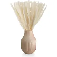 Blumtal Pampas Pluimen - Droogbloemen - Boeket - Set Gedroogde Bloemen - 58 / 60 cm - Wit - 50 Stuks