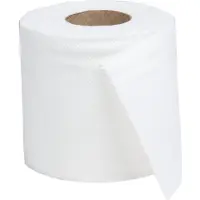 Jantex Premium Toiletpapier 40 Rollen GD831