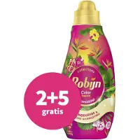 Robijn Klein & Krachtig Wasmiddel Color Tropical 19 Wasbeurten 665 Ml