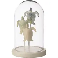 J-Line cloche décorative schildpad glas - wit/lichtblauw - 14 x 22 cm