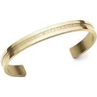 Daniel Wellington ELAN DW0040014 GOLD-PLATED ARMBAND 1 STUK