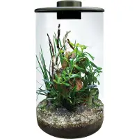 Aquadistri Cylinder 285 zwart BioArt