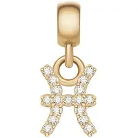 Daniel Wellington CRYSTAL ZODIAC DW00400766 GOLD-PLATED VISSEN BEDEL MET ZIRKONIA'S 1 STUK