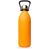 Qwetch Geïsoleerde fles Titan | Maat 2000 ml