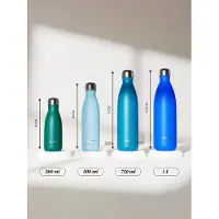 Qwetch Matte Isolerende Fles Originals | Maat 500 ml