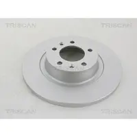 TRISCAN 8120 101013C Remschijf