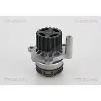 TRISCAN 8600 29048 Waterpomp
