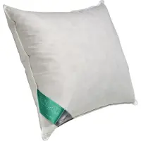 Ten Cate 100% Eendenveren Hoofdkussen 60x70 cm