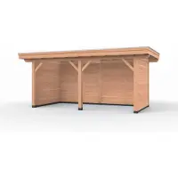 Westwood Douglas overkapping, 500 x 300, met achterwand en twee zijwanden, Vrijbuiter Basic