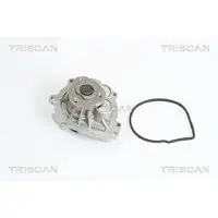 TRISCAN 8600 24018 Waterpomp