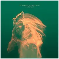 Bertus France Cnt White bear