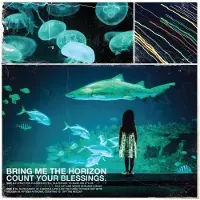 Universal Music Bring Me The Horizon - Count Your Blessings (LP) (Black Eco Vinyl)