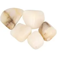 Spiru Calciet Strepen Trommelstenen (500 gram)