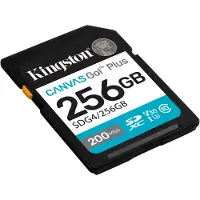 Kingston Canvas Go Plus - Geheugenkaart - 256GB