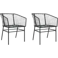 vidaXL Tuinstoelen, 2 stuks, zwart, polyrotan