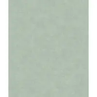 Dutch Wallcoverings A53714 VliesbehangCiara - Alba uni groen - 53cm x 10m
