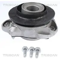 TRISCAN 8500 10950 Veerpootlager
