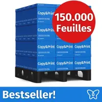 Easyprint NIEUW: Printerpapier Kopieerpapier 150000 Vel 60 x 2500 A4 Premium Extra Wit CIE 160 Testwinnaar PEFC-gecertificeerd