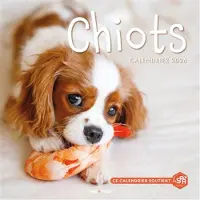 Hugo Image CHIOTS CALENDRIER (PETIT FORMAT)
