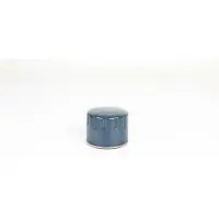 BSG 75-140-004 Oliefilter