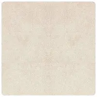 vidaXL Antislip Shaggy Tapijt Crèmekleurig 160 x 160 cm PP