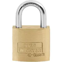 Burg wachter 3001 Hangslot 30.00 mm Verschillend sluitend Messing Sleutelslot