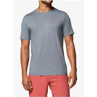 Columbia - Wandel- en bergsportkleding - Parsons Point SS Back Graphic Tee City Grey Heather Linear Peaks voor Heren van Gerecycled Polyester - Maat L - Grijs