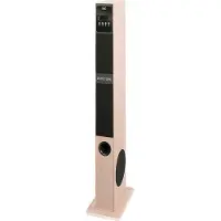 Trevi XT 108 BT 60W - luidspreker (hout)