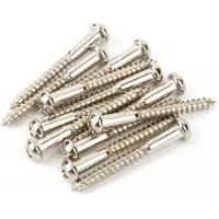 Fender Vintage Strat Bridge Mounting Screws - 12 Stuks Nickel