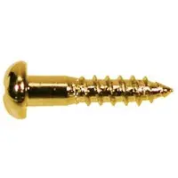 Boston WS-02-G Luxe Dome Hoofd Schroeven - 2,1x10mm (12 Stuks)
