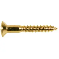 Boston WS-04-G Gouden Ovalen Schroeven 3,5x25mm - 12 Stuks