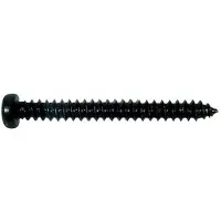 Boston PS-10-B pickup schroeven 2,6 x 25 mm – dome head, zwart (12 stuks)