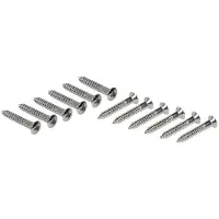 Boston WS-14-N Schroeven 2,4x16mm - 12 Stuks, Ovalen Verzinkt, Nikkelafwerking