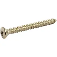 AllParts GS0005B01 Nikkel Nekplaat-Schroeven – 50 Stuks