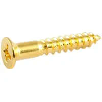AllParts GS0063002 Gouden Brugbevestigingsschroeven #8 x 1 (5 stuks)