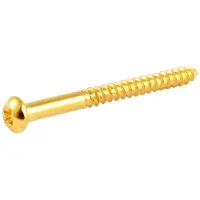 AllParts GS0011002 Gouden Pickup Schroeven voor Basgitaar - 8 Stuks