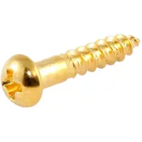 AllParts GS0006B02 100 Stuks Gouden Lange Machinekop Schroeven 1/2 Inch