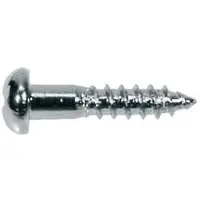 Boston WS-02-C Domekop Schroeven 2,1x10mm - 12 Stuks Chrome