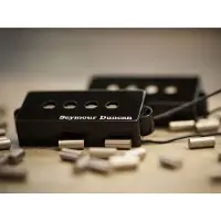Seymour Duncan SD03822 SPB-2 Hot Split Coil Pickup voor P-Bass - Zwart