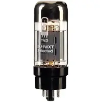 TAD 5881WXT/2 Geselecteerde Versterktubes - Paar (RT312)