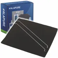 Alapure Koolstoffilter voor Type 31 / 9029793842 / F00439