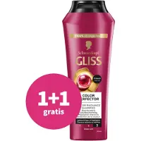 GLISS Shampoo Color Protect & Shine 250 ml