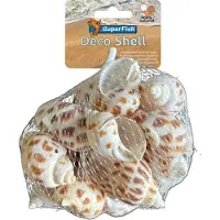 Superfish Aquarium Decoratie Schelp Spiraal 200 G