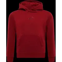 Puma Junior Hoodie Ess Small No.1 Logo | Maat 12 ans