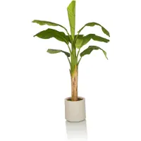 Hjh OFFICE Kunstplant/kunstboom BANANE I 150 cm groen