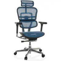 Hjh OFFICE Bureaustoel / Directiestoel ERGOHUMAN GEN2 Netstof blauw