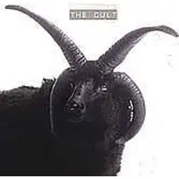 Beggars Cult