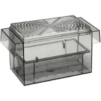 Europet Bernina Afzetkastje 3 In 1 Guppy Tank - Kweekbakken - 16x8x8 cm